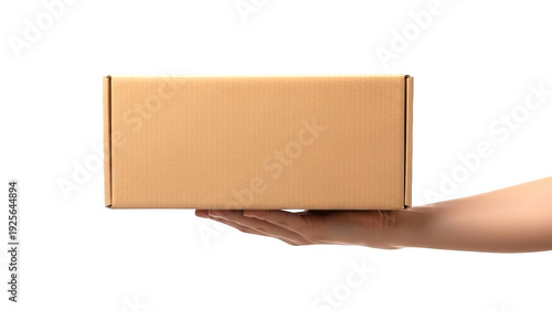 A person holding a brown cardboard box with both hands