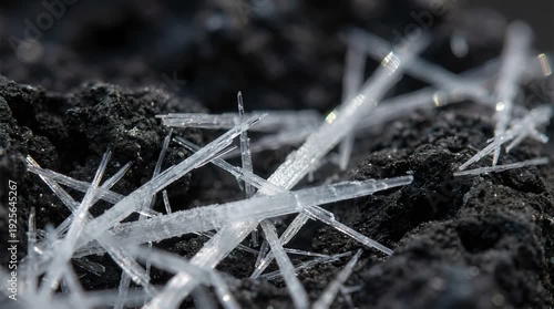 Close up of white acicular crystal clusters on rough dark rock mineral formation under bright light source in shallow depth of field