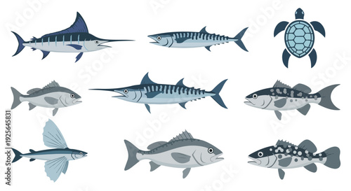 Collection of various ocean fish and a sea turtle in a flat, illustrative style against a clean white background.