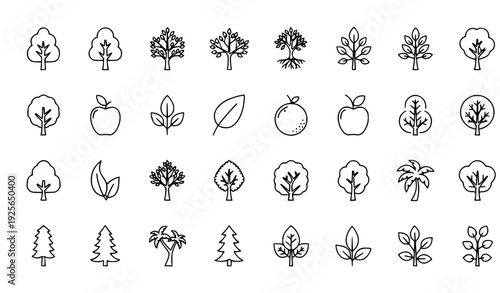 Modern thin line tree icons with leaves roots fruits and tropical plants for eco design and UI outline set