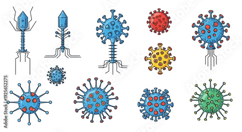 Virus particles illustrated in various shapes and colors