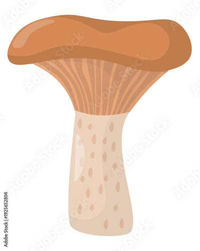 delicious milk cap wild edible mushroom in flat style, element growing in forest for education or design