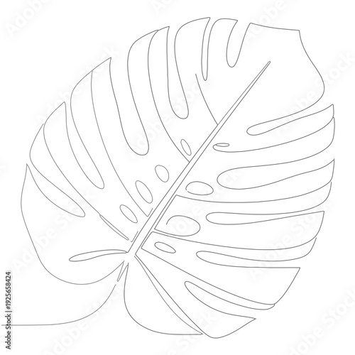 Minimalist Line Art Illustration of a Monstera Leaf, a Tropical Plant Known for its Distinctive Fenestrations
