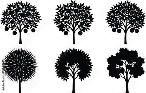 Black fruit tree silhouettes set, orange apple and citrus garden collection, orchard harvest vector icons, botanical leaf plants nature elements