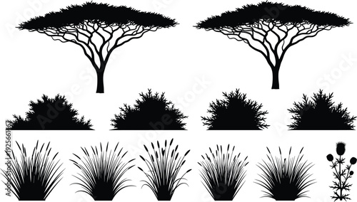 Black savanna tree silhouettes with acacia, desert shrubs, and wild grass icons, isolated vector nature elements for African landscape design.