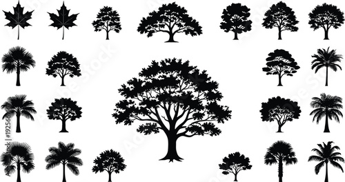 Black tree silhouettes collection with oak, maple, and palm species, isolated vector nature icons for landscape design and environmental projects.