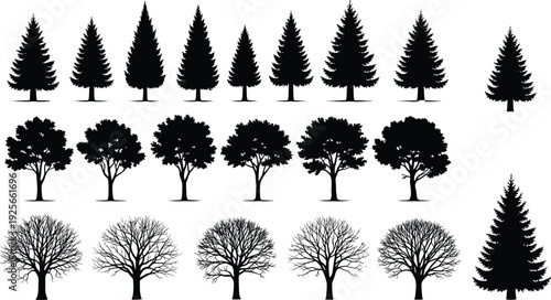 Black tree silhouettes set, isolated coniferous spruce pine and deciduous leafy oak maple trees collection with bare winter branches vector