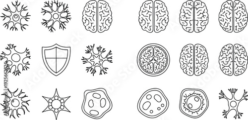 Line art illustrations of human brain, neurons, glial cells, anatomy, neuroscience icons, medical biology, cellular structures, scientific diagrams, education graphics