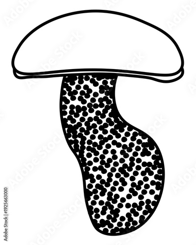 Boletus scaber wild edible mushroom outline, element growing in forest for coloring page