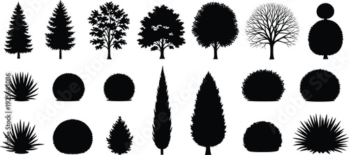 Silhouettes of trees and shrubs, coniferous, deciduous, leafless, bushes, landscaping plants, botanical shapes, garden design, natural vegetation, foliage