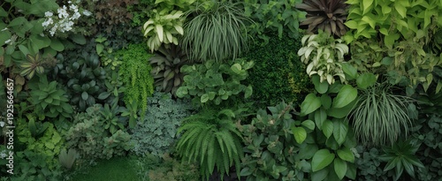 Variety of green plants and foliage in a lush garden setting with many textures