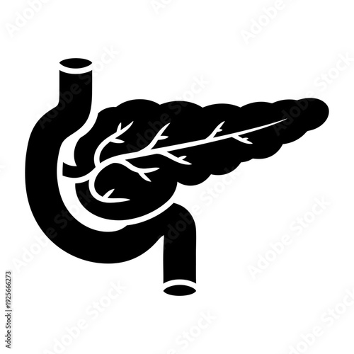 Human Pancreas and Duodenum Anatomy Silhouette Icon