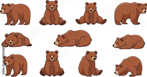 Brown bear vector illustration set featuring multiple poses including sitting and lying down isolated on white background for wildlife and nature animal design