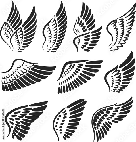 Collection of various stylized black and white feathered wing with different patterns and textures