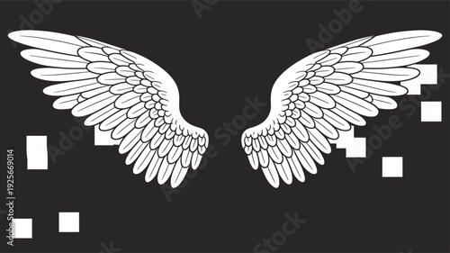 Pair of large white feathered wings with detailed texture on black background with scattered white squares