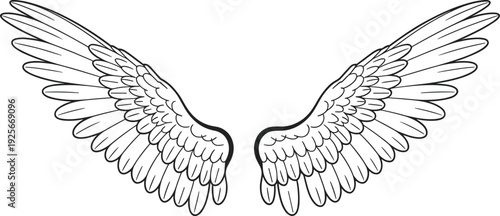 Pair of symmetrical angel wings with detailed feather outlines in black and white