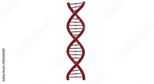 A detailed illustration of a red dna double helix structure