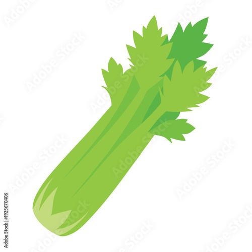 Celery illustration vector design with a white background