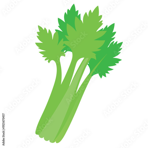 Celery illustration vector design with a white background