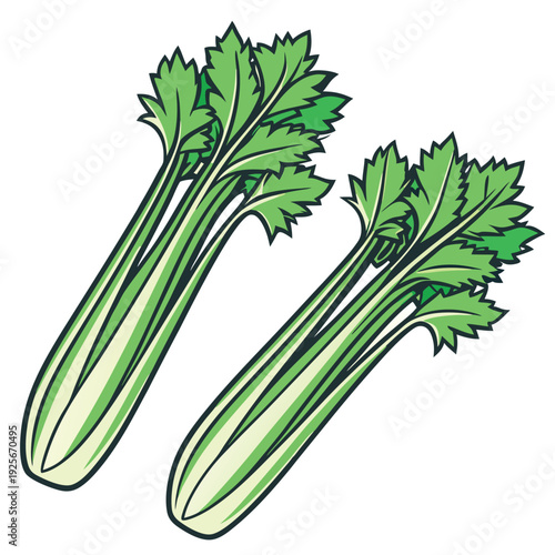 Celery illustration vector design with a white background