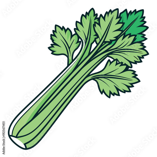 Celery illustration vector design with a white background