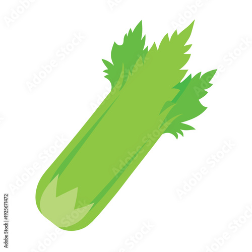 Celery illustration vector design with a white background