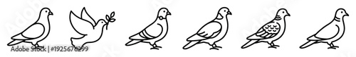 Set of six black line art pigeon and dove icons showing different bird variations, including a flying peace dove with an olive branch, in a minimalist outline style