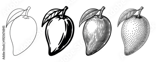 Four mango fruit illustrations with leaves in a collection of black and white styles, from simple outline and bold graphic to detailed engraving and stippling