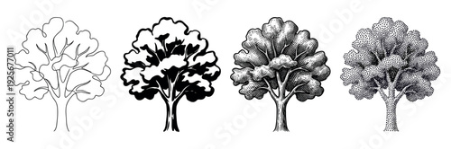 Four hand drawn tree illustrations in a set demonstrating various graphic techniques like continuous line art, solid silhouette, vintage engraving, and dotwork stippling