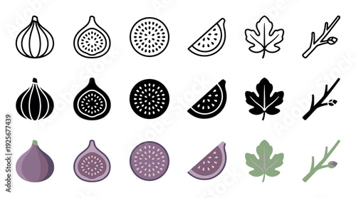 Collection of fig fruit vector icons showing the whole fruit, cross-section, slice, leaf, and branch in outline, glyph, and flat color design styles for various uses
