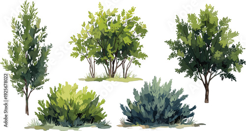 Stylized trees and shrubs, botanical illustration, green foliage, landscape design elements, plant silhouettes, seasonal vegetation, nature icons, garden artwork