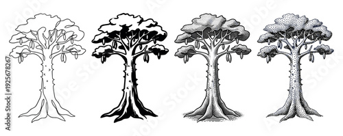 Set of four vintage cacao tree illustrations showcasing different graphic techniques including line art, silhouette, detailed engraving, and classic stippling with pods