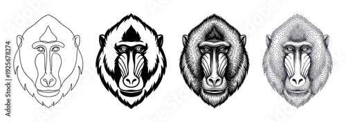 Four mandrill monkey head portraits showing different artistic styles including one line, stencil, engraving, and stippling for a graphic design concept