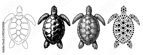 Four black sea turtle graphic illustrations in a set showing different artistic styles from minimalist line art and bold silhouette to detailed engraving and a dotted pattern