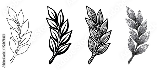 Set of four hand-drawn botanical branch illustrations in various black and white styles, including simple line art, bold silhouette, detailed hatching, and dotwork shading