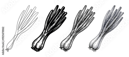 Set of four green onion illustrations presented in a row, showcasing different artistic styles including simple line art, bold graphic, vintage engraving, and stippling