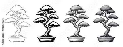 Four bonsai tree illustrations in a collection showing different artistic styles, including line art, silhouette, classic engraving, and stippling for a timeless design