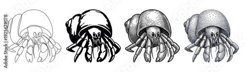 Four hermit crab illustrations in different artistic styles including continuous line art, graphic silhouette, vintage engraving, and modern stippling for a design set