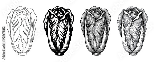 Four Chinese cabbage vegetable illustrations presented in a collection of different black and white graphic styles including outline, woodcut, engraving, and stippling