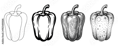 Four black and white bell pepper illustrations showcasing a collection of different artistic styles like continuous line art, bold icon, vintage engraving, and pointillism