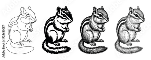 Set of four chipmunk drawings showcasing various graphic techniques including continuous one-line art, solid black ink, detailed engraving, and dotwork stippling