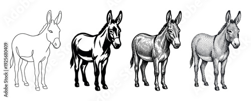 Set of four donkey illustrations showcasing different artistic techniques like continuous line drawing, high contrast stencil, vintage engraving, and pointillism