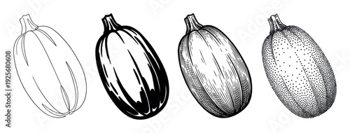 Four black and white vegetable illustrations show different artistic styles including line art, graphic silhouette, detailed engraving, and stippling for a botanical drawing set