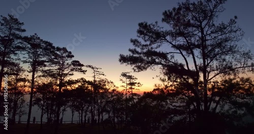 Scenic aerial panorama of morning light breaking through pine tree canopies in a remote mountain range. The warm sun rays and soft clouds create a dreamy atmosphere, perfect for themes of tourism