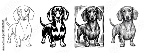 Set of four dachshund dog illustrations in various artistic styles including minimalist line art, high-contrast stencil, vintage engraving, and detailed stippling