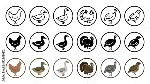 Diverse set of poultry and game bird icons featuring chicken, duck, goose, and turkey in three distinct styles: line art, black silhouette, and flat color illustration