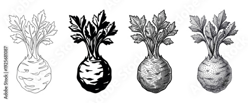 Four black and white celeriac vegetable illustrations in different artistic styles like line art, silhouette, engraving, and stippling, showing a collection of graphic elements