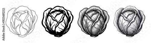Set of four cabbage illustrations showing different artistic styles including line art, silhouette, engraving, and stippling for a vintage, hand-drawn aesthetic