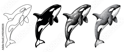 Four black and white orca whale illustrations in a set showcasing different graphic styles like line art, silhouette, vintage engraving, and stippling dotwork