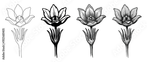 Set of four black flower illustrations showcasing different graphic styles like continuous line art, solid silhouette, detailed engraving, and dotwork stippling